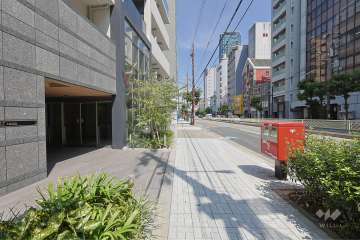 敷地の東側前面道路（南側から）