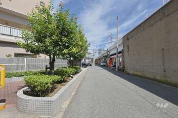 敷地南側の前面道路