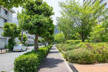 敷地南側の前面道路