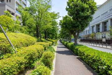 敷地の南側前面道路（西側から）