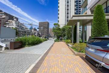 敷地南側の前面道路　