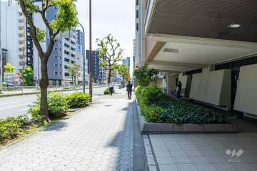 敷地東側の前面道路（北側から）