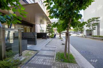 敷地の西側前面道路（北側から）