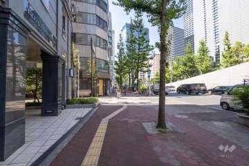 敷地の西側前面道路（北側から）