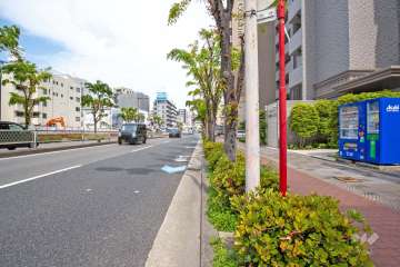 敷地北側の前面道路