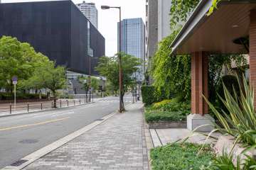 敷地西側の前面道路（南側から）