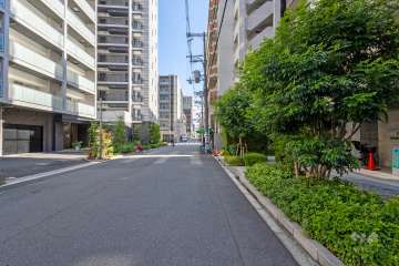 敷地東側の前面道路（北側から）