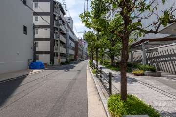敷地の南側前面道路（東側から）