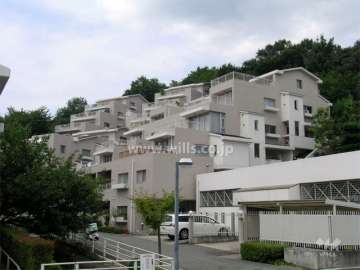 建物はひな壇型になっています。