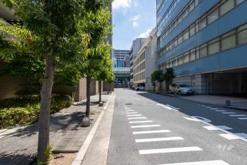 敷地の南側前面道路（西側から）