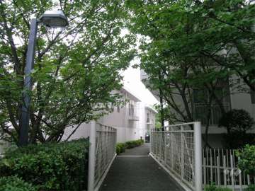 両側を緑に囲まれた敷地内の通路