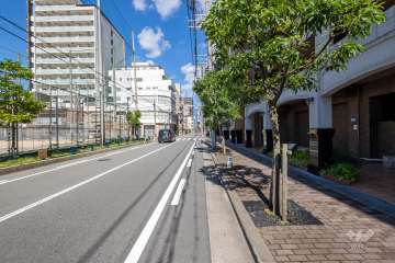 敷地北側の前面道路（西側から）