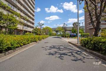 敷地南側の前面道路（西側から）