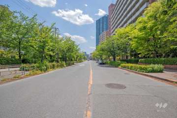 敷地東側の前面道路（北東側から）