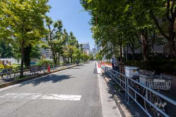 敷地の東側前面道路（北側から）