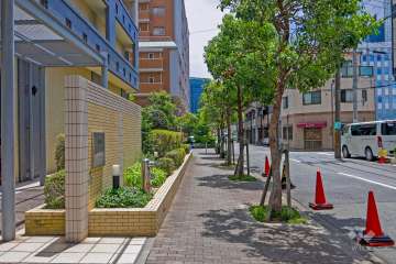 敷地の西側前面道路（北側から）