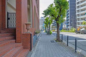 敷地の西側前面道路（北側から）