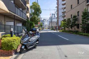敷地西側の前面道路　