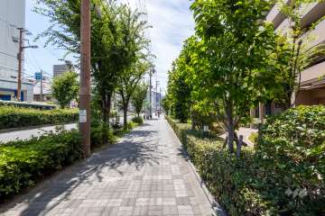 敷地の南側前面道路（東側から）