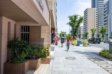 敷地の南側前面道路（西側から）