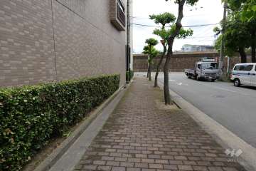 敷地北側の前面道路（東側から