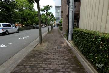 敷地北側の前面道路（西側から）