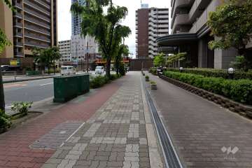 敷地南側の前面道路（東側から）