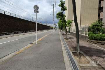 敷地西側の前面道路（南側から）