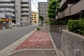 敷地東側の前面道路（北側から）