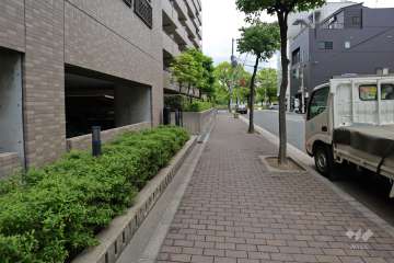 敷地東側の前面道路（南側から）