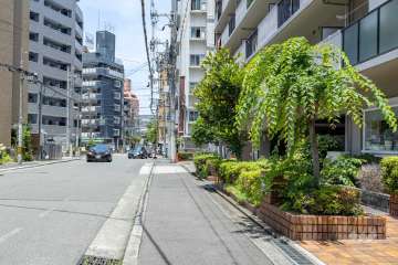 敷地西側の前面道路