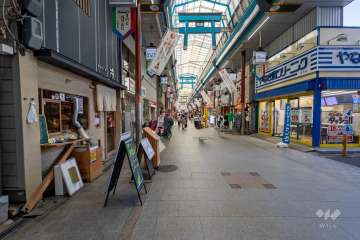敷地東側の前面道路　