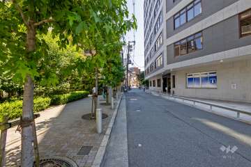 敷地西側の前面道路（北側から）