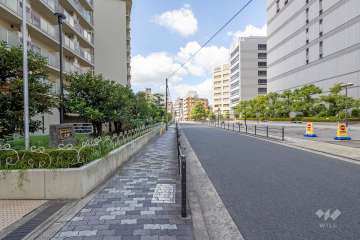 敷地の北側前面道路（東側から）