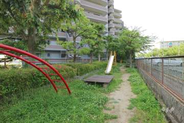 敷地に隣接して公園があります。