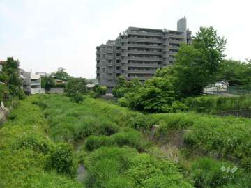 敷地の北側を流れる勝尾寺川