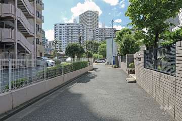 敷地の北側前面道路（東側から）