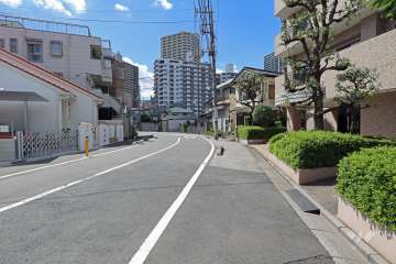 敷地の南側前面道路（東側から）