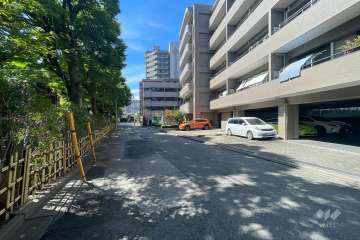敷地の東側前面道路（北側から）