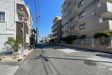 敷地の西側前面道路（南側から）