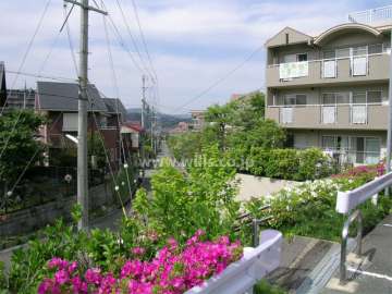 9号棟の南側は抜けています。