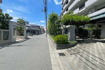 敷地南側の前面道路　