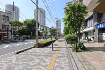 敷地の西側前面道路（南側から）
