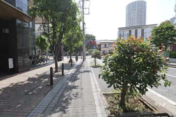 敷地の北側前面道路（東側から）