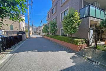 敷地の西側前面道路（南側から）