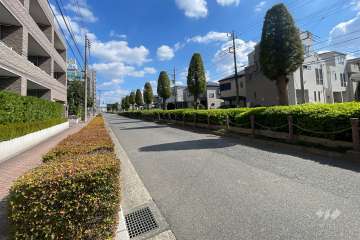 敷地の南側前面道路（西側から）