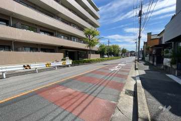 敷地の西側前面道路（北側から）