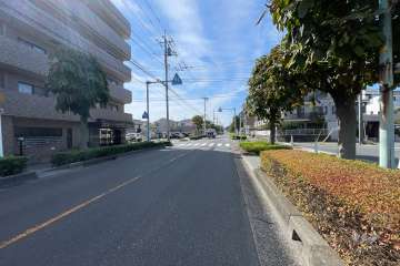 敷地北西側の前面道路　