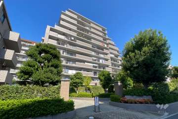 アメニクス川口