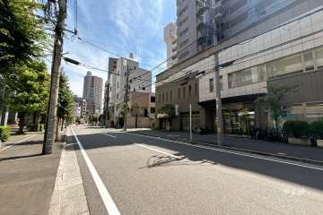 敷地北側の前面道路（西側から）
